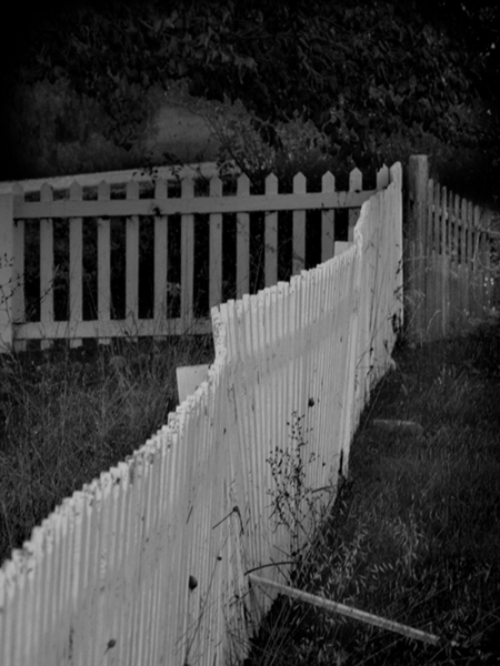 Aromas, CA: Country Fences near Aromas