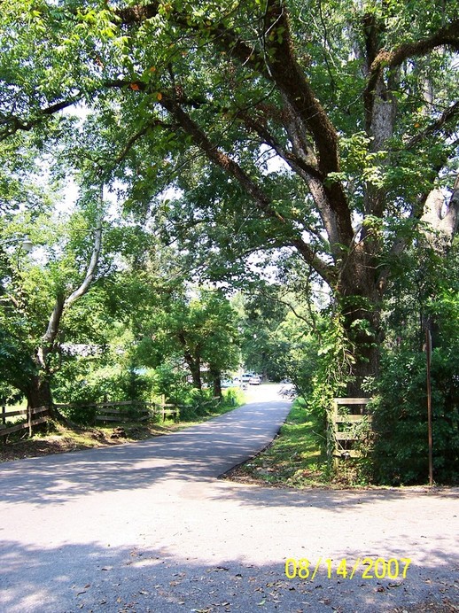 Washington, LA: Peaceful City Street