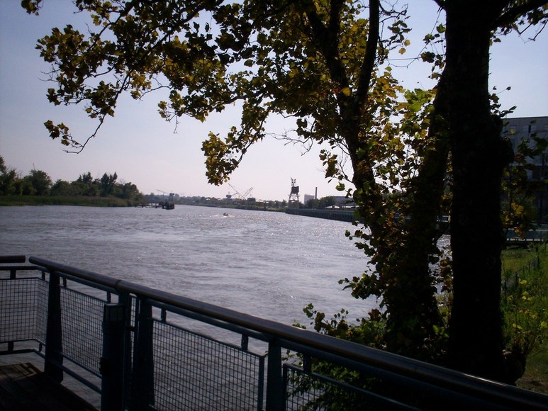 Wilmington, DE: Riverfront Wilmington, De. 2007 (pic # 4)