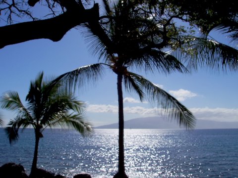 Lahaina, HI: Our beautiful view from where we live!