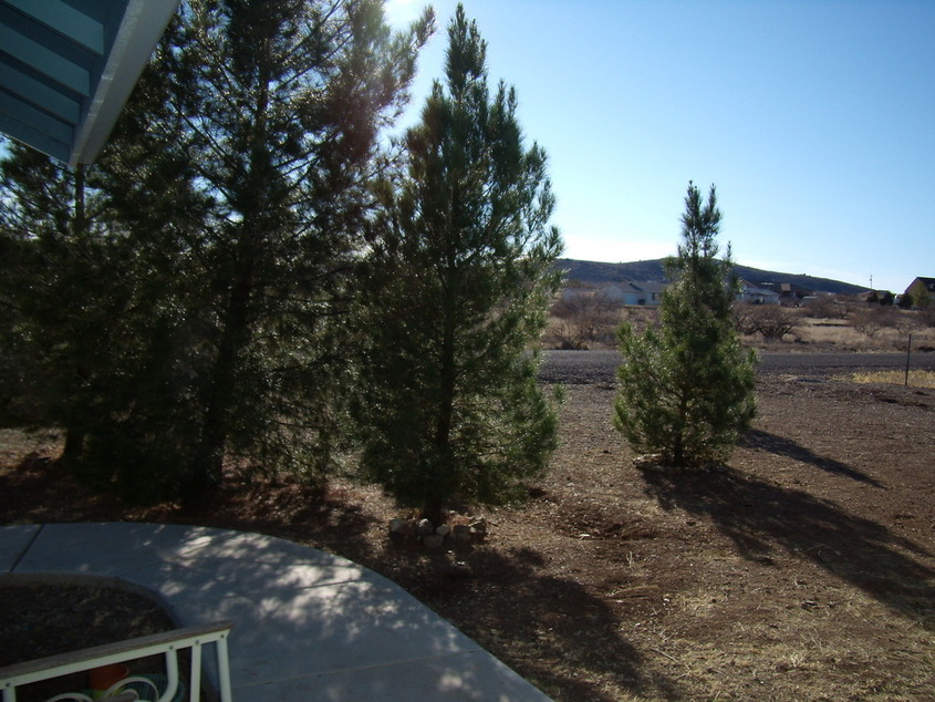 Cordes Lakes, AZ: view from sierra drive, cordes lakes