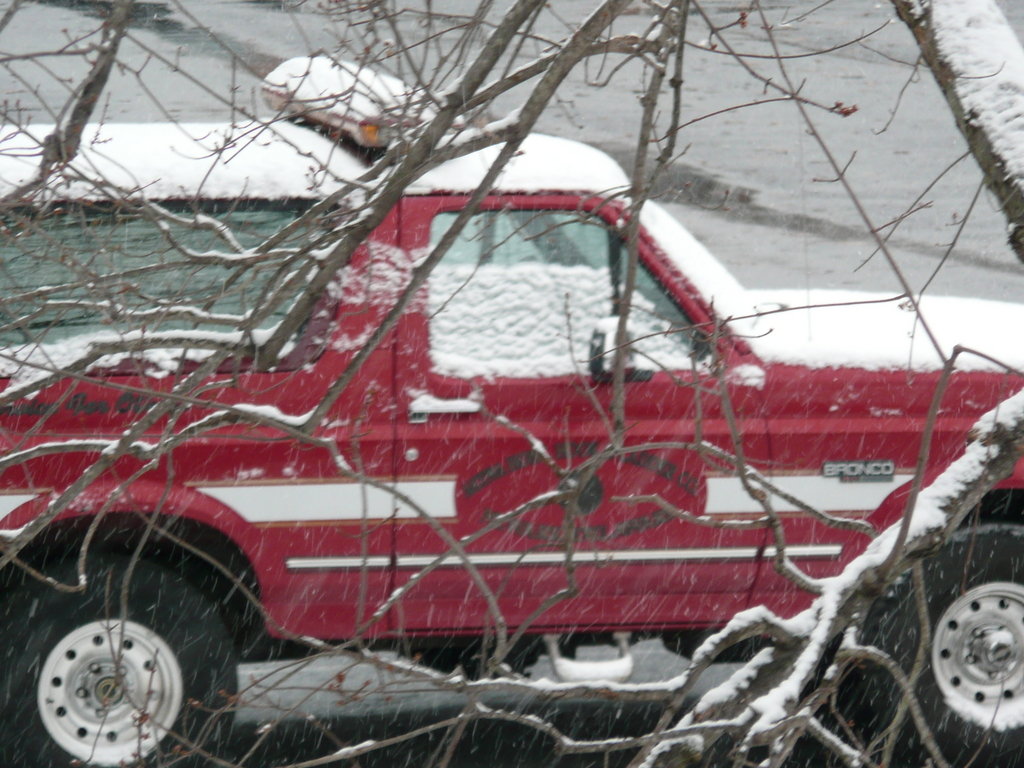 Newark, DE: First Snowfall, Dec 2007