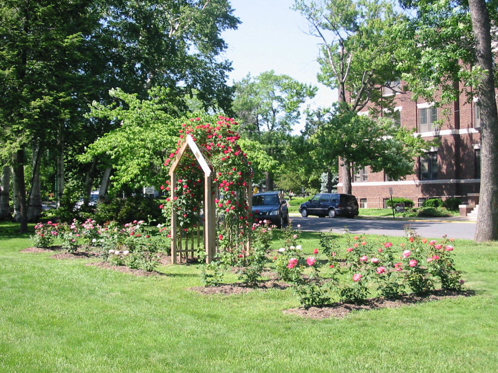 Palmerton, PA: palmerton rose garden