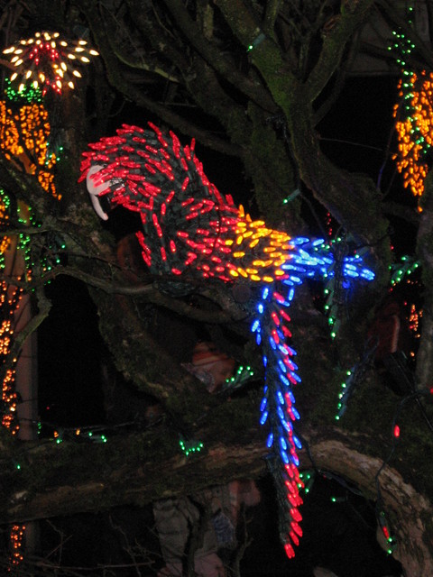 Bellevue, WA: Bellevue Botanical Garden's D 'light - Macaw