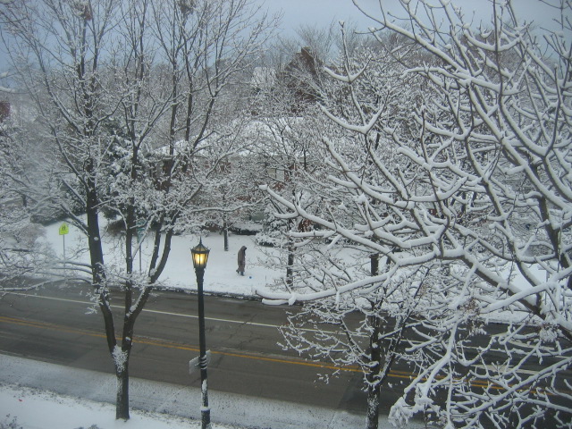 Evanston, IL: Southeast Evanston Snowstorm