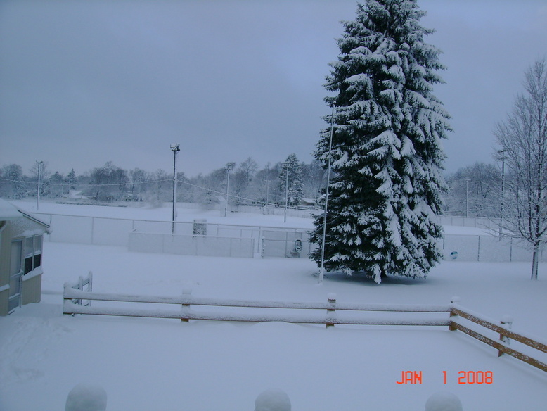 Manchester, MI: Fair grounds in the Village of Manchester, MI ( Jan )