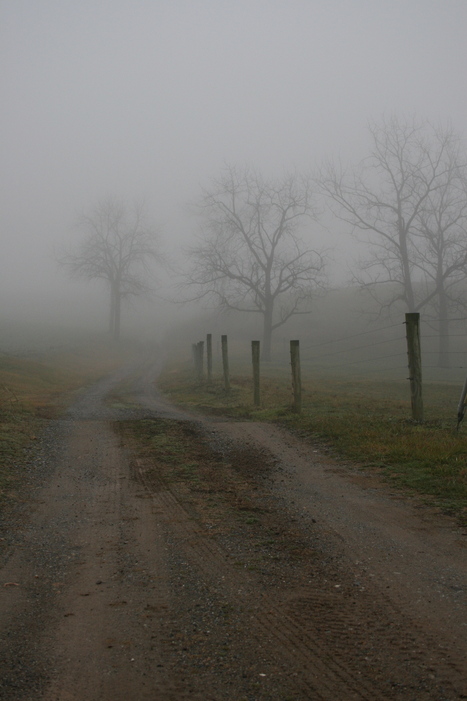 Quarryville, PA: Foggy morning