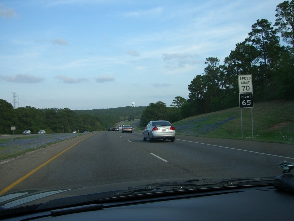 Bastrop, TX TX Hwy 71 East in Bastrop Nice tall pine trees! photo