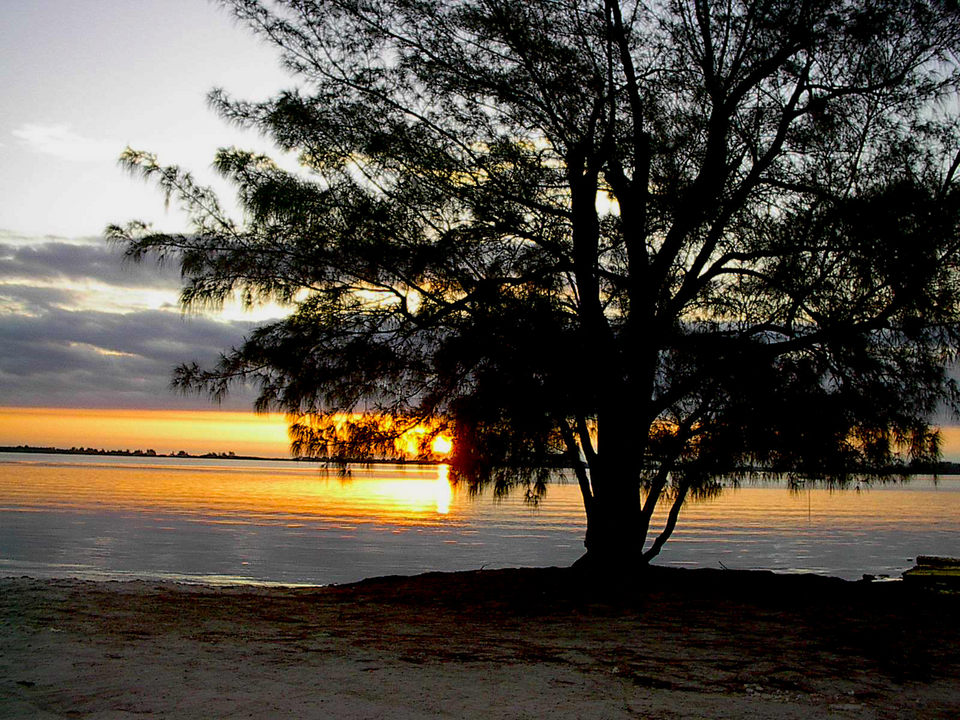 Stuart, FL: This is a picture of the sunrise by the causeway in Stuart.