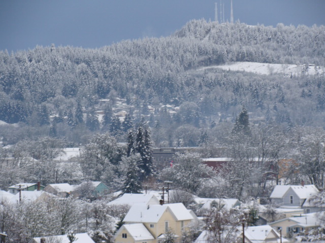 Cottage Grove, OR: View of Cottage Grove from Mt. David in the NW part of town