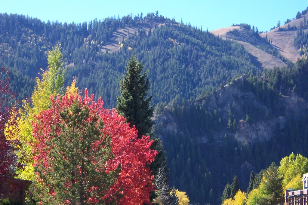 Ketchum, ID: Fall colors, view from downtown Ketchum