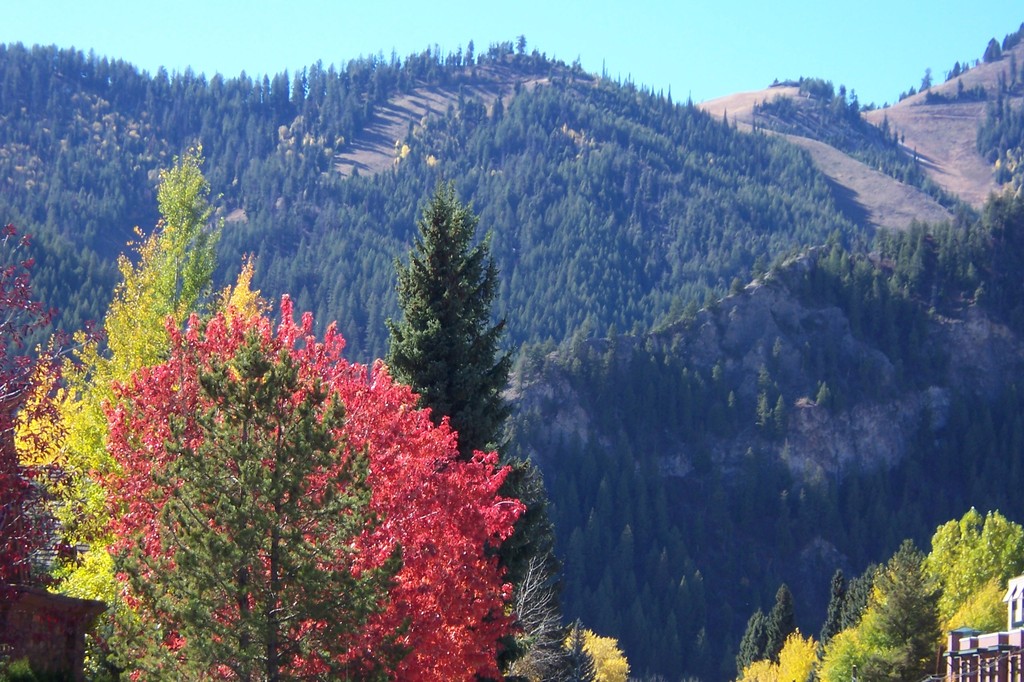 Ketchum, ID : Fall Colors, View From Downtown Ketchum Photo, Picture ...