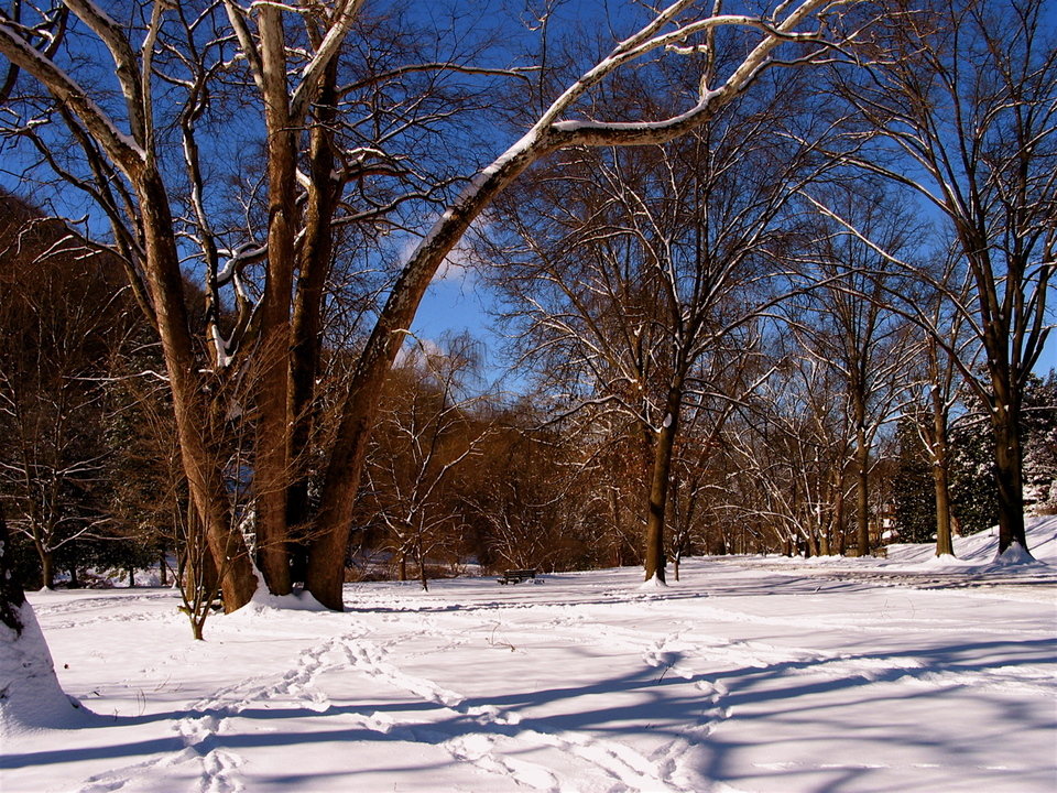 Huntington, WV: Snow in Ritter Park