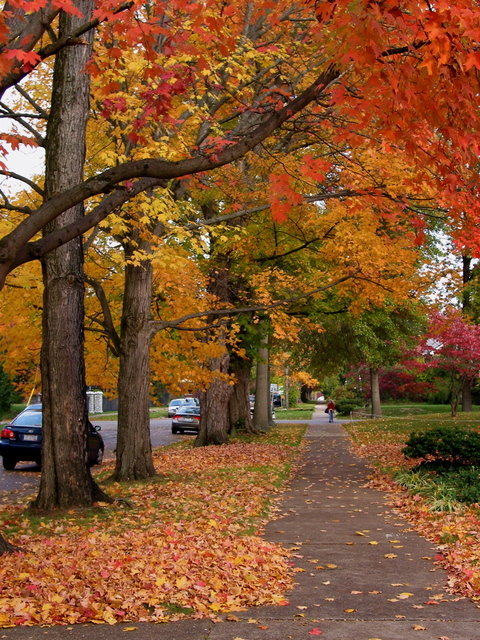 Huntington, WV: Fall Day on 12th Avenue