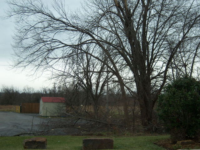 Lamar Heights, MO: December 2007 Ice Storm Damage in the Pizza Hut parking lot