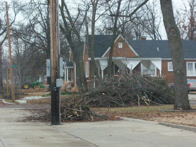 Lamar, MO: Ice Storm Damage in North Lamar