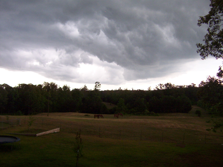 Kimberly, AL: storm clouds and horses in Kimberly