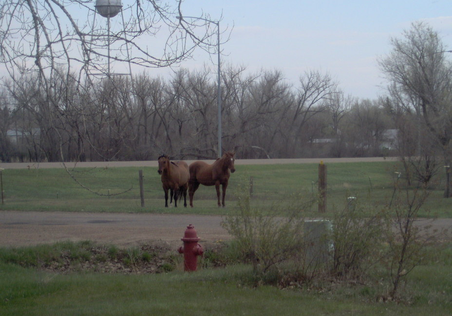 Wibaux, MT: My Neighbors