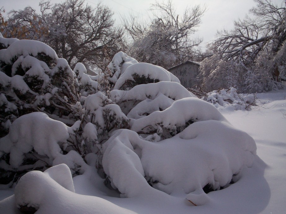 Geneseo, KS: ice storm