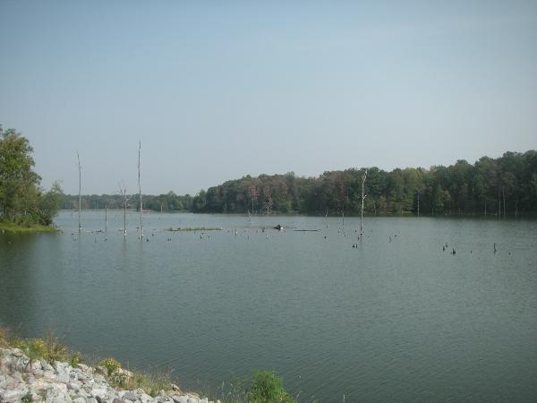 Jackson, TN: lake graham in jackson