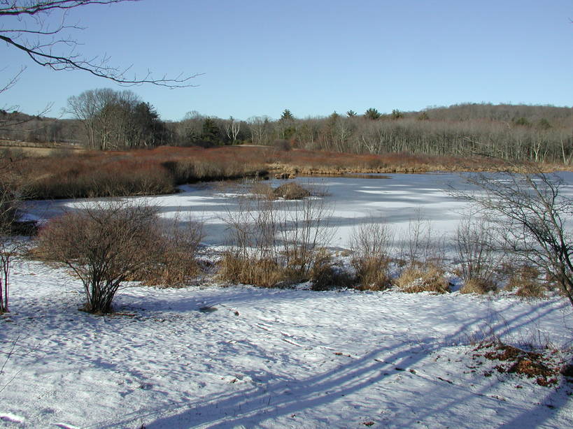 Willington, CT: Taylor Pond at Fenton-Ruby Park and Wildlife Preserve 2001