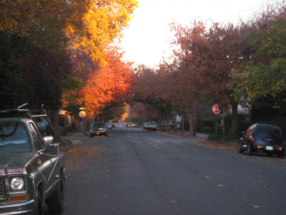 Oroville, CA: Street in Oroville during fall (picture taken november)