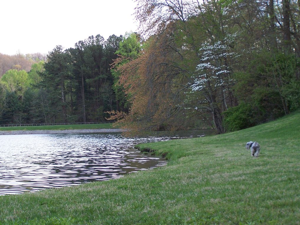 Tracy City, TN Tracy City Shopping Center photo, picture, image