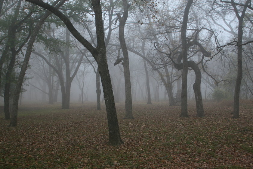 Colleyville, TX: A beautiful Colleyville park on a foggy morning.