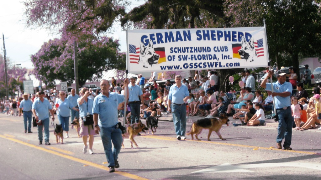 North Fort Myers, FL: German Shepherd Schutzhund Club of SWFL Inc