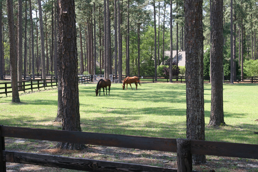 Southern Pines, NC: Southern Pines Horse Farm