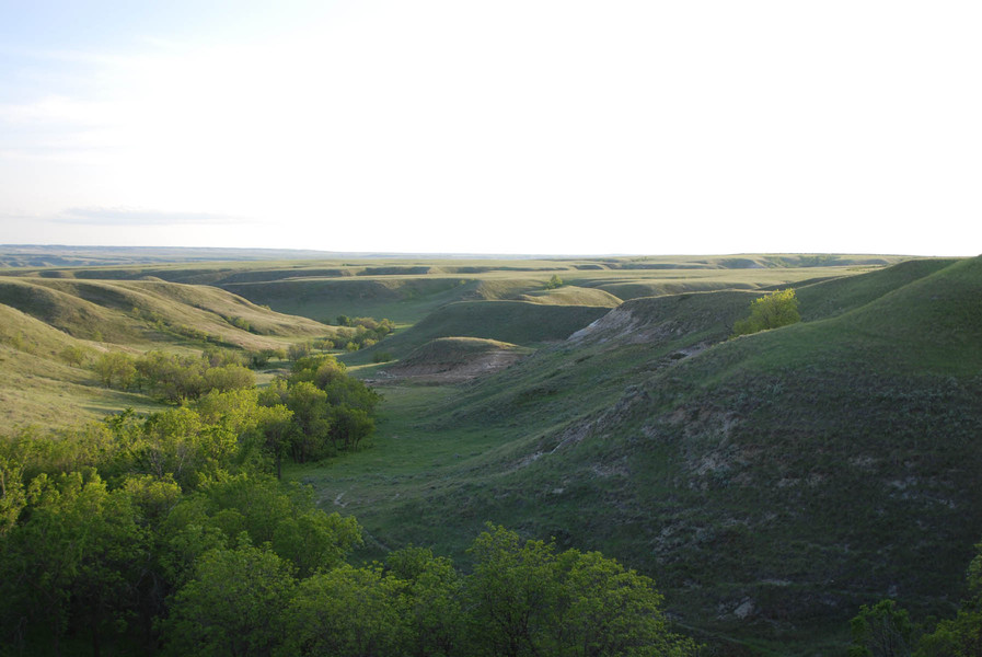 Plentywood, MT: Approx 10 miles outside of Plentywood