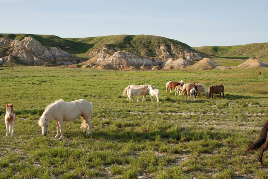 Plentywood, MT: Approx 10 miles outside of Plentywood