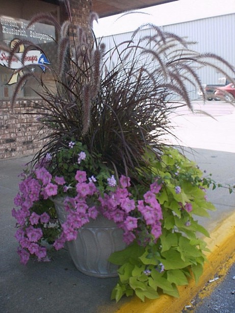 Brookfield, MO: flowerpot on Main St