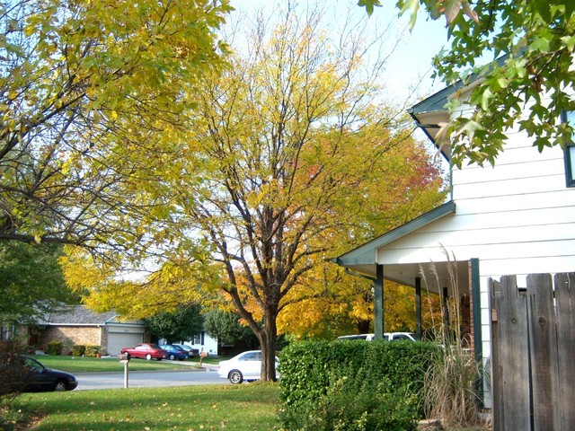 Wichita, KS: Cedar Lake Village Neighborhood