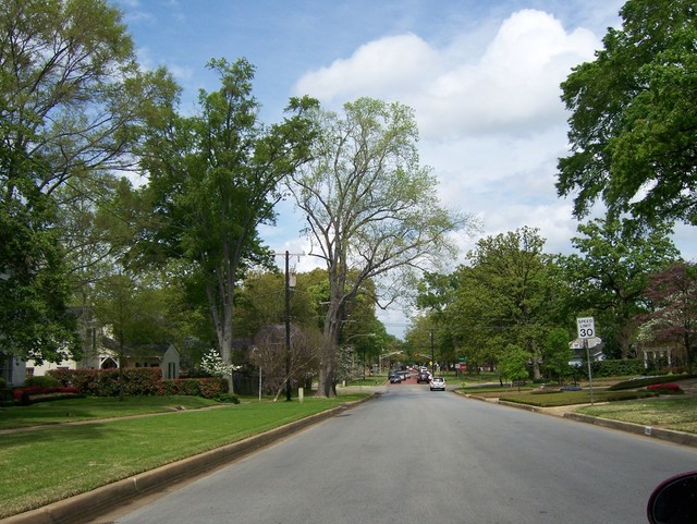 Tyler, TX: Spring in Tyler