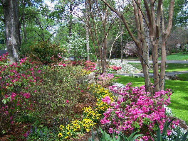 Tyler, TX : Front Yard in Tyler photo, picture, image (Texas) at city ...