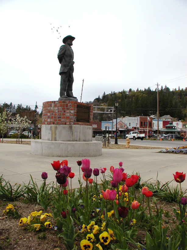 Colfax, CA Schuyler Colfax watches over Spring blooms photo, picture