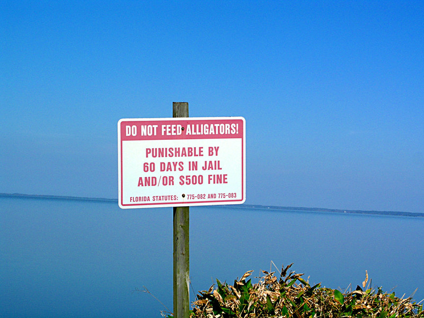 Winter Garden, FL: Lake Apopka Do Not Feed Alligators