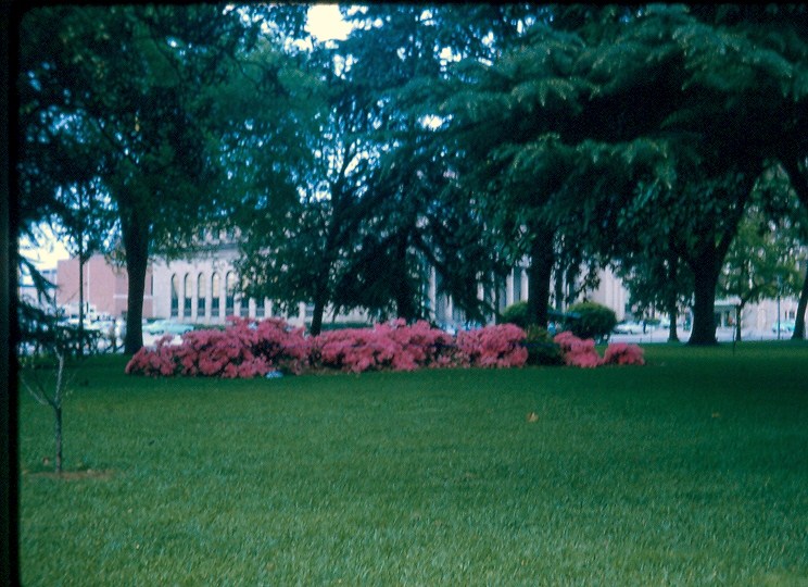 Columbia, SC: SC state capital building 1965