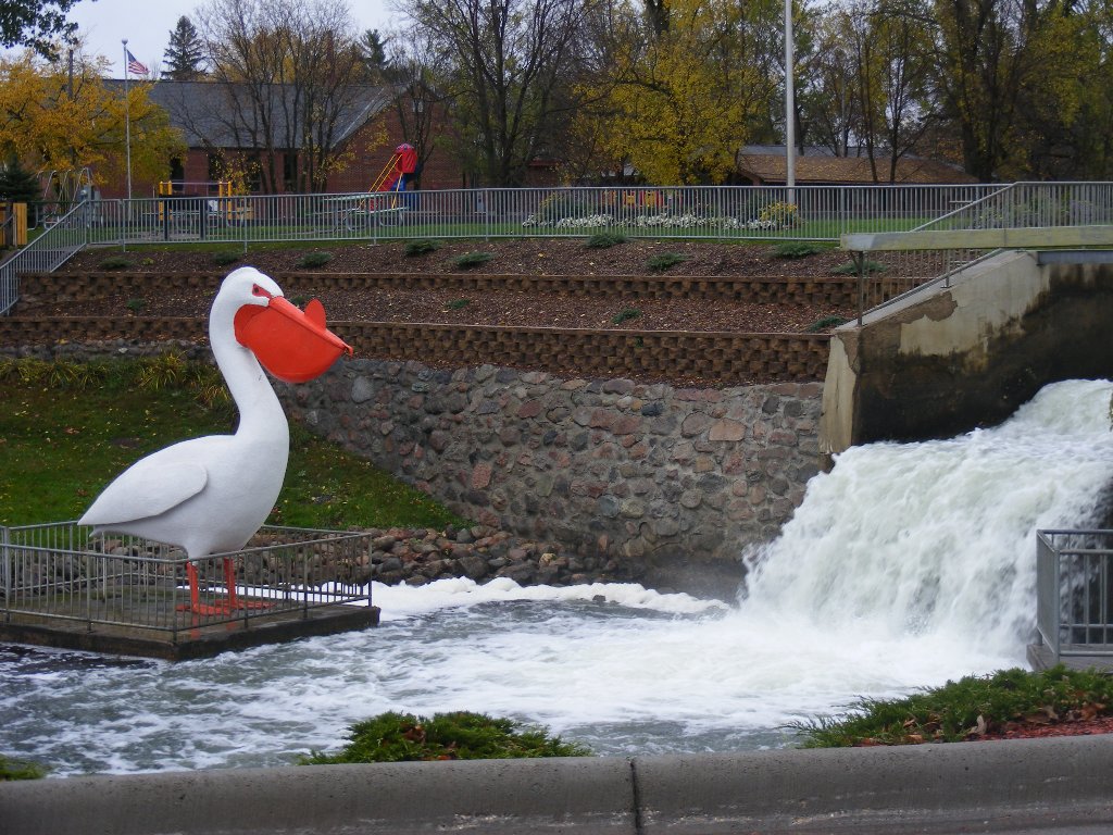 Pelican Rapids, MN: Pete The Pelican