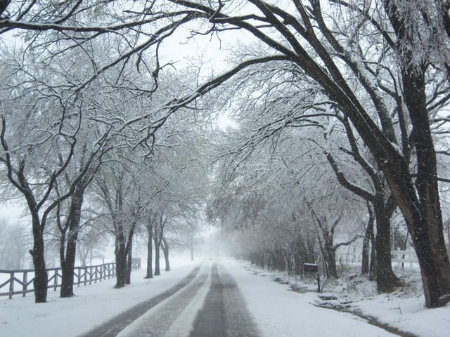 Cross Roads, TX: Snow on Dr Sanders Road - March 6th 2008