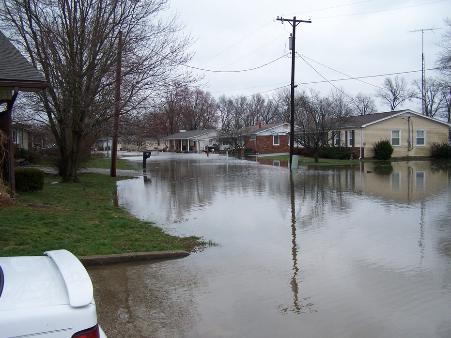Carrier Mills, IL: Flood 2008
