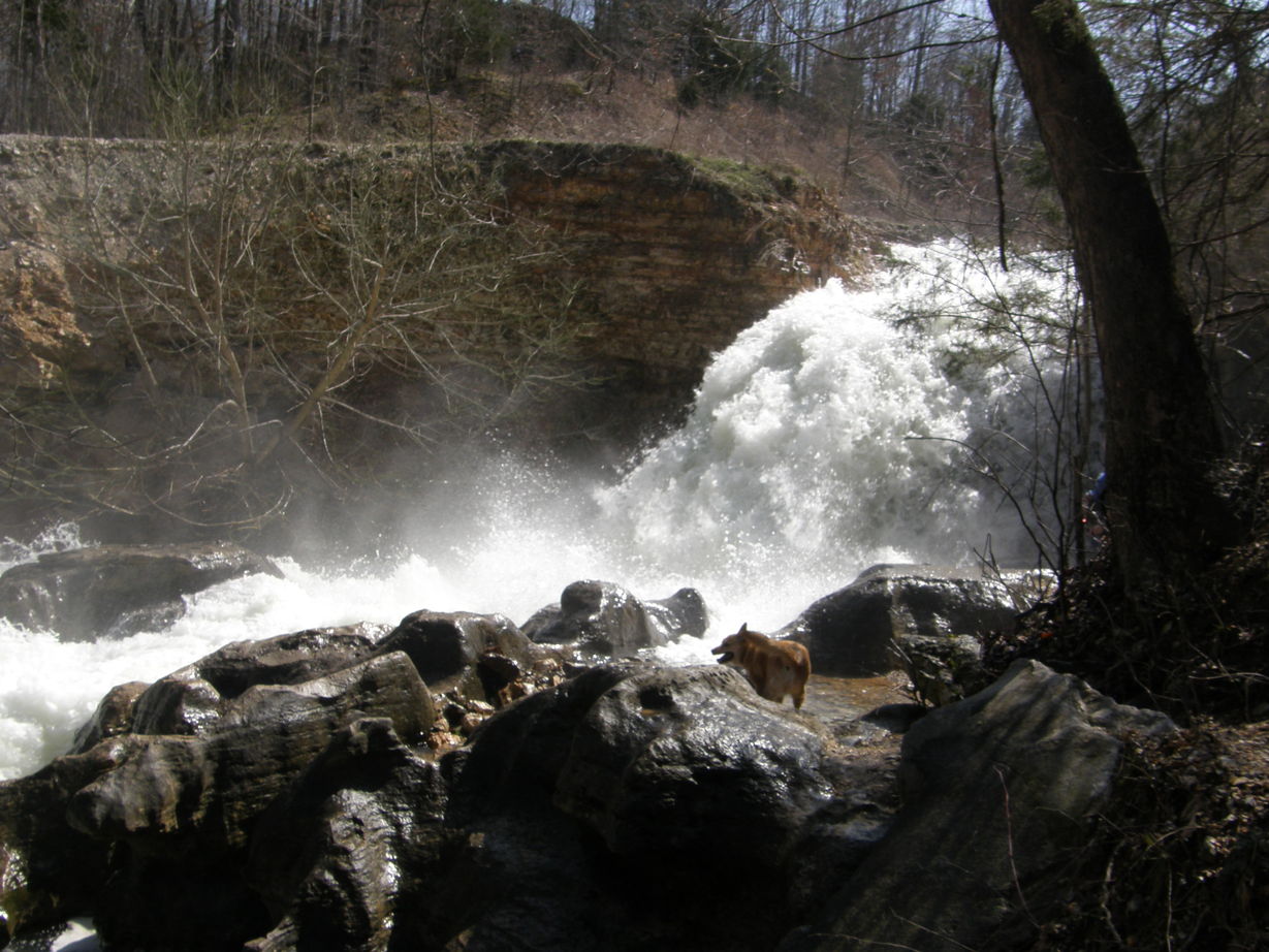 Bella Vista, AR: Tanyard Creek Trail after spring rains