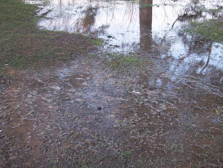 Hooks, TX: Hooks City Sewers