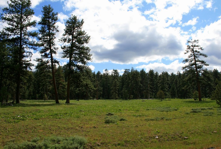 Ochoco, OR: Indian Ponies once grazed here.....