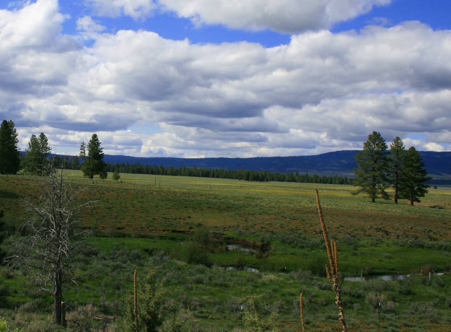 Ochoco, OR: Source of the Crooked River.....