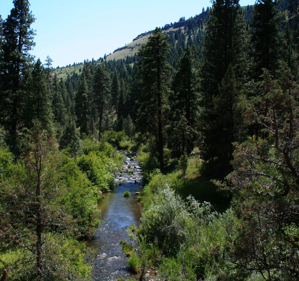 Dayville, OR : South Fork of the John Day River.... photo, picture