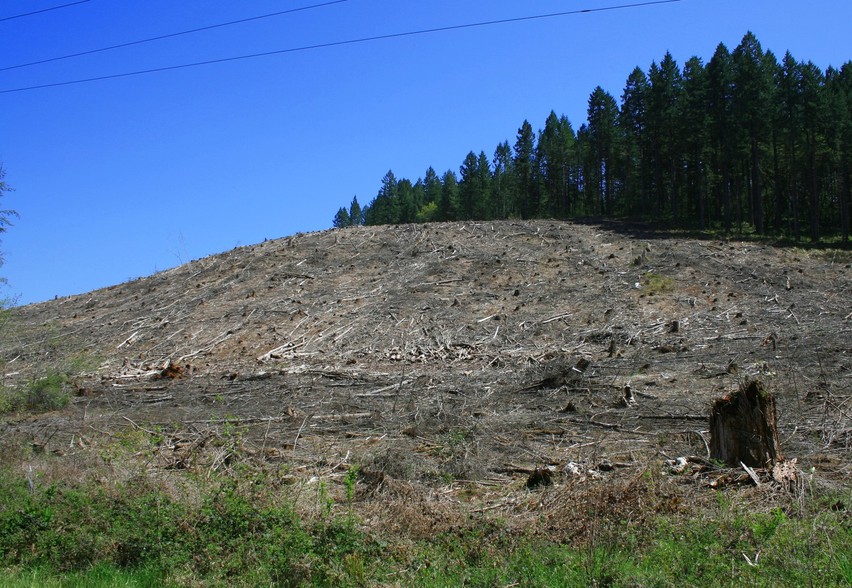 Marcola, OR: Clearcut....