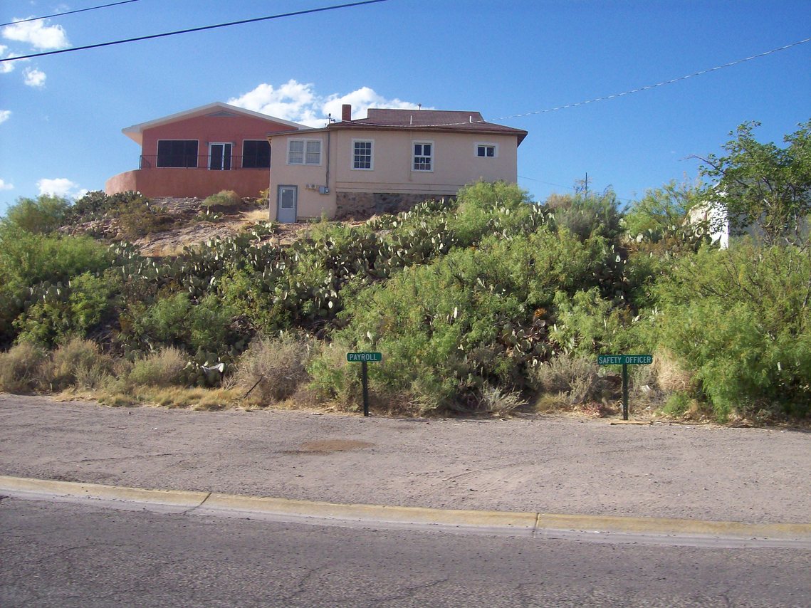 Truth or Consequences, NM: a hill of cactus