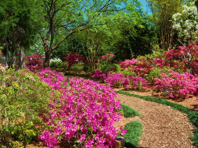 Dallas, TX: The Arboretum